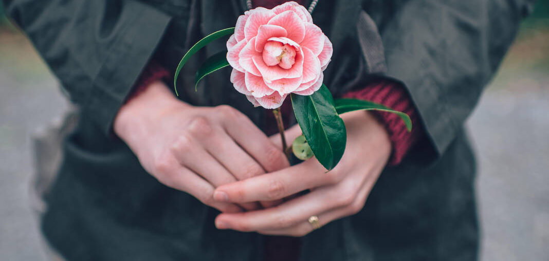 Is there a relation between organic farming and greenhouse pollution?